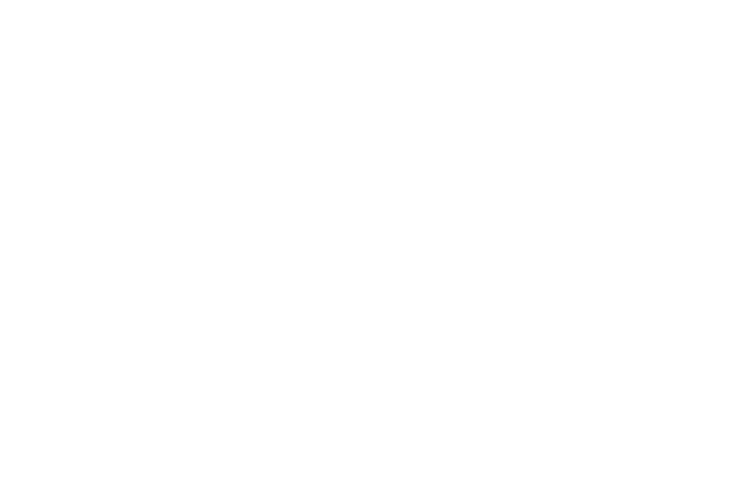 UBAI Torii Logo